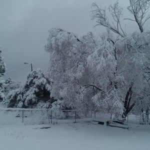 Meet your Posher, Cwa